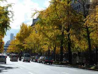 P1000455.jpg