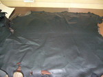 08051401.JPG