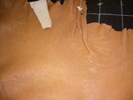 08052703.JPG