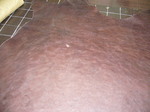 08052705.JPG