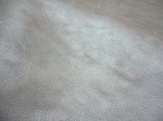 08052706.JPG