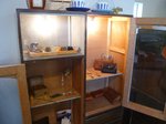 08053104.JPG