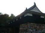 08053116.JPG