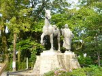 08053120.JPG