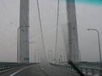 08053126.JPG