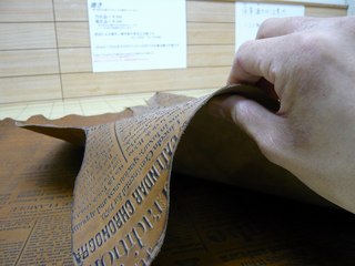 10030602.jpg