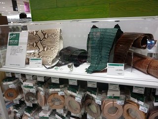 11050305.jpg
