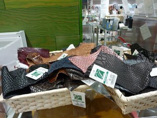 11050306.jpg