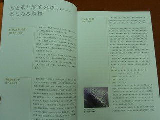 1206benri03.jpg