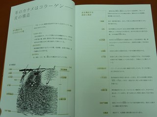 1206benri05.jpg