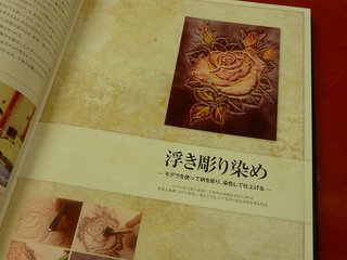 12092608.jpg