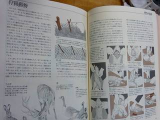 1211namesi02.jpg