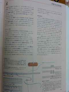 1211namesi05.jpg