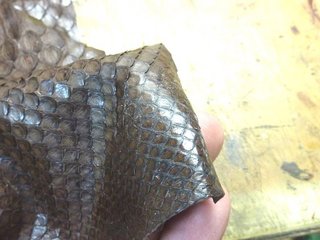1304tokage005.jpg