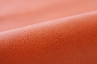 73853245_o3.jpg