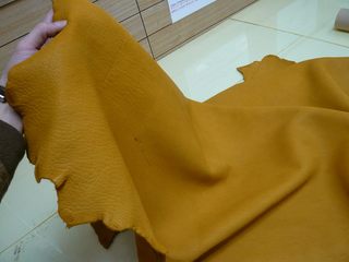P1080002.jpg