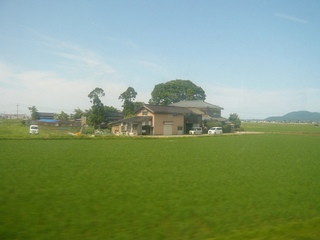 P1080755.jpg