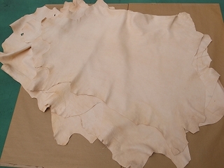 R0029804-e7e7c.jpg