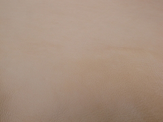 R0029809.jpg