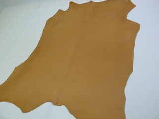 s-R0040379.jpg